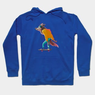 skateboard Hoodie